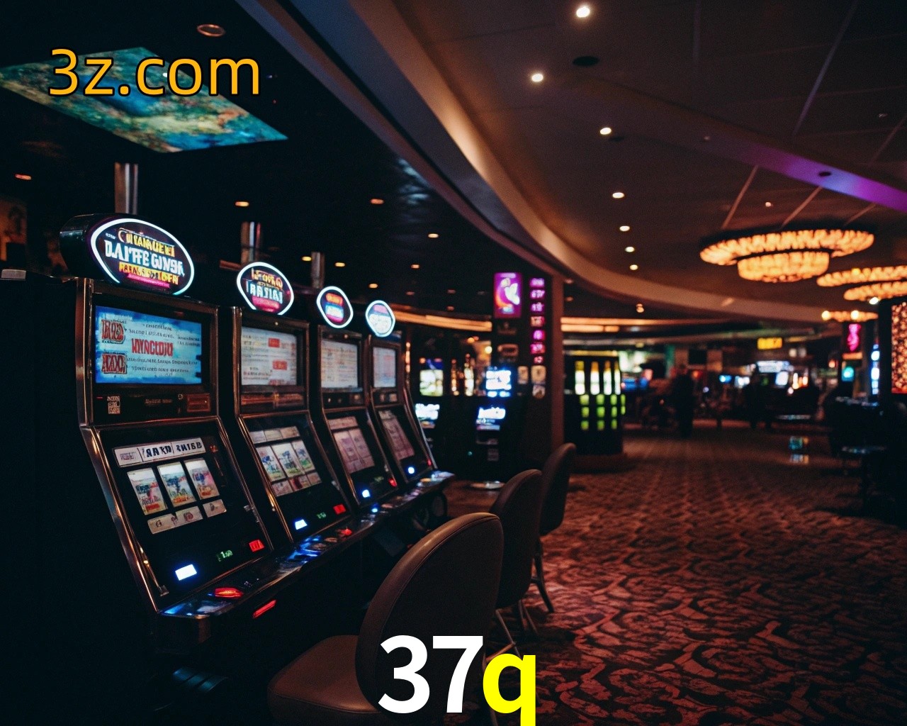 login 37q