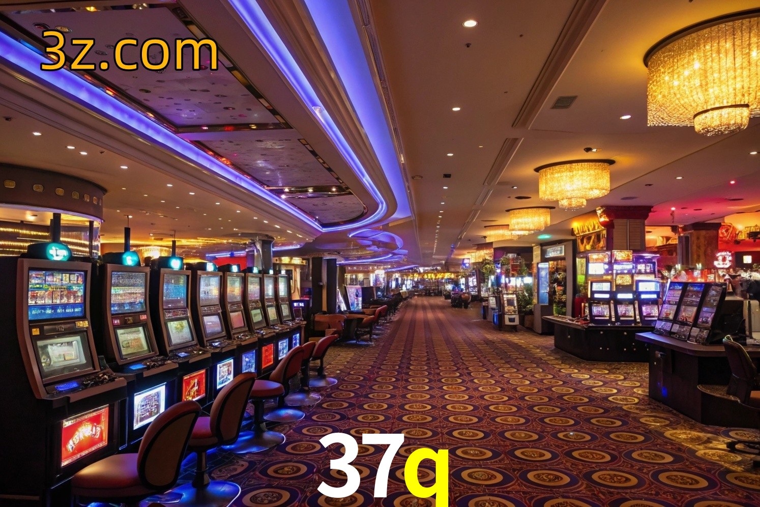 vip 37q